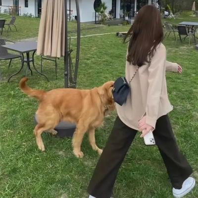 设计理想家第二季